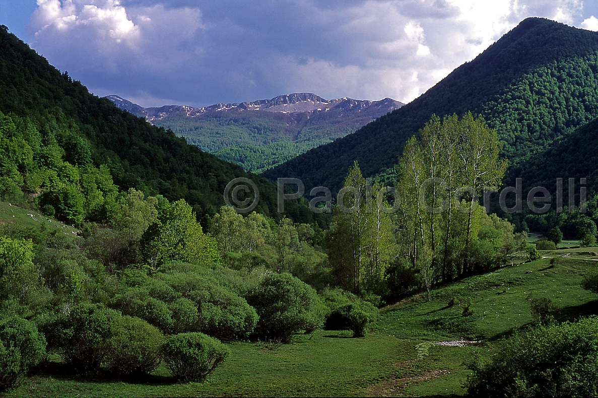 Fondillo Valley, Abruzzo National Park, Abruzzo, Italy
 (cod:Abruzzo 02)